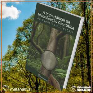 A Importância da Identificação Científica de Espécies Florestais
