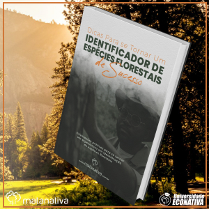 Dicas Para se Tornar Um IDENTIFICADOR DE ESPÉCIES FLORESTAIS de Sucesso