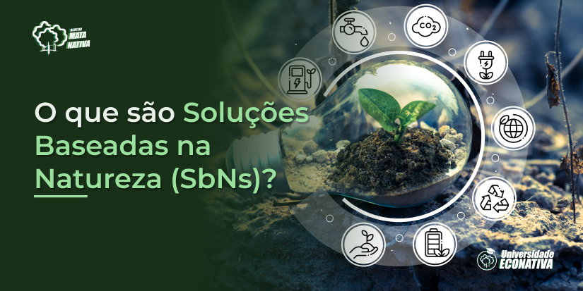 O que são Soluções Baseadas na Natureza (SbNs)