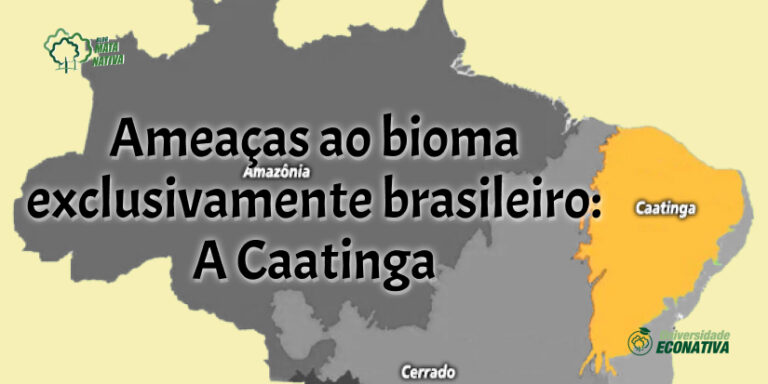Ameaças ao bioma exclusivamente brasileiro: A Caatinga